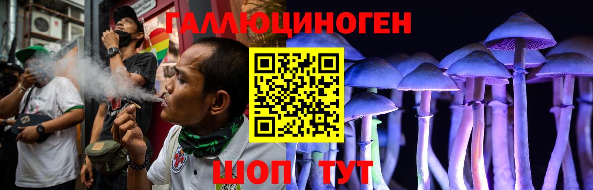 Галлюциногенные грибы Psilocybe  Вход с VPN  Нижний Новгород 