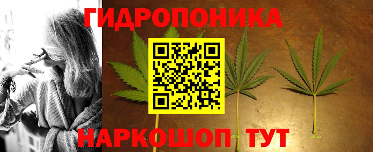 Бошки Шишки White Widow Нижний Новгород